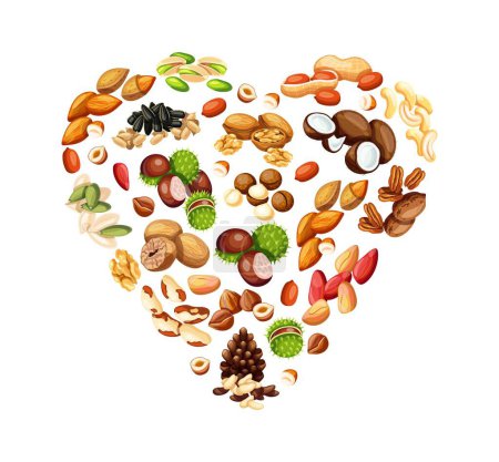 Heart-shaped nuts and seeds. Vector illustration: almond, cola, cashew, nutmeg, brazil nut, pistachio, peanut, macadamia, sunflower, pumpkin seed, hazelnut, pine nut, coconut, walnut, chestnut.