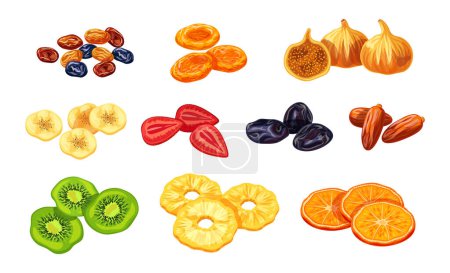 Ilustración de Conjunto de diferentes sabrosos frutos secos aislados sobre un fondo blanco. Ilustración vectorial de pasas, albaricoques secos, higos, plátanos, fresas, ciruelas pasas, dátiles, kiwi, piña y naranja. - Imagen libre de derechos