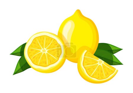 Téléchargez les illustrations : Citron en style dessin animé. Illustration vectorielle de délicieux citron entier frais et juteux et demi avec des feuilles vertes isolées sur fond blanc. Des agrumes. Aliments biologiques. - en licence libre de droit