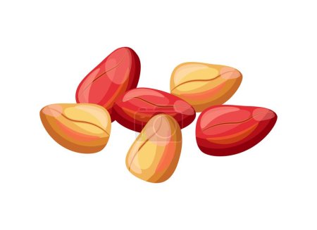 Illustration for Delicious kola nuts isolated on white background. Vector illustration of a tasty pile of whole red and yellow kola nuts in cartoon style. Kola nuts icon. Healthy, organic food. - Royalty Free Image