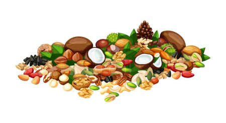 Illustration for Vector illustration of a bunch of nuts and seeds in cartoon style. A bunch of sunflower, pumpkin, walnut, cola, pistachio, peanut, pine, chestnut, pecan, coconut, Brazilian, nutmeg, hazelnut, almond - Royalty Free Image