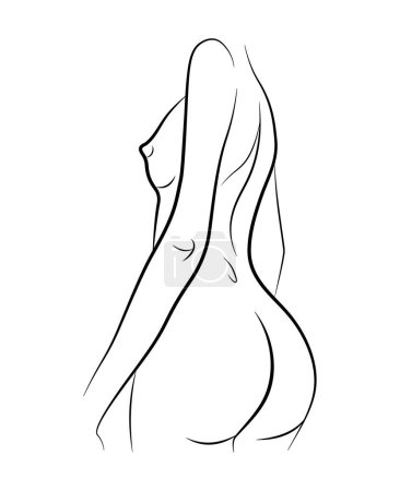 Illustration for Line silhouette of naked girl from behind isolated on white background. Vector illustration of a sketch of a beautiful slim figure of a woman. Linear sketch. Minimalism. Erotic curves of the body. - Royalty Free Image