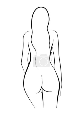 Téléchargez les illustrations : Linear silhouette of a graceful girl with flowing hair isolated on a white background. Vector illustration of a back view of a beautiful girl, a rounded butt, elegant lines of shoulders and arms. - en licence libre de droit