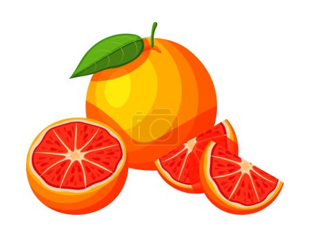 Illustration for Delicious grapefruit in cartoon style. Vector illustration of fresh and juicy whole grapefruit with green leaf and halves isolated on white background. - Royalty Free Image