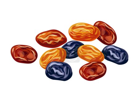 Illustration for Raisin dried fruit isolated on white background. Vector illustration of green, red and blue raisins in flat style. Icon of dried blue, red and green grapes. Healthy snacks. - Royalty Free Image