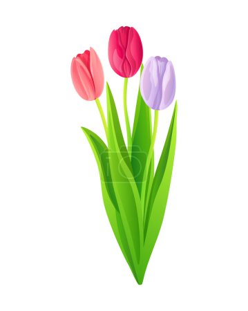Ilustración de Ramo de tulipanes rosa, fucsia y lila aislados sobre un fondo blanco. Ilustración vectorial. - Imagen libre de derechos
