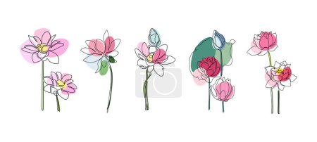 Illustration for Set a continuous line of water lily flowers. One line drawing of delicate flowers isolated on a white background. Silhouettes of water lilies for logo or floral design - Royalty Free Image