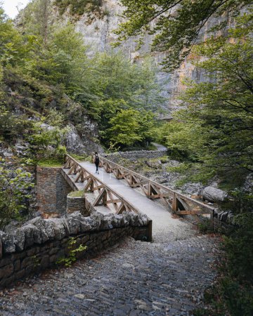 Téléchargez les photos : Backpacker femme traverse un pont seul dans la forêt des Pyrénées, plan vertical, vue de derrière - en image libre de droit