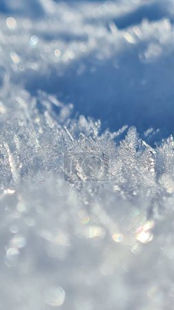 Photo for Ice crystal at a sunny day. High quality photo - Royalty Free Image