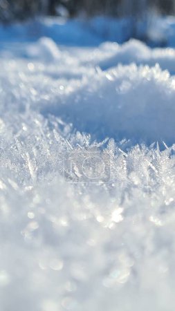 Photo for Ice crystal at a sunny day. High quality photo - Royalty Free Image