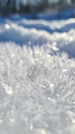 Téléchargez les photos : Cristal de glace par une journée ensoleillée. Photo de haute qualité - en image libre de droit