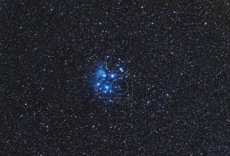 Foto de Amplio campo de las Pléyades, también conocido como Las Siete Hermanas y Messier 45, es un cúmulo de estrellas abiertas que contiene las estrellas Sterope, Merope, Electra, Maia, Taygetas, Celaeno y Alcyone. Se encuentra en el noroeste de la constelación de Tauro. - Imagen libre de derechos