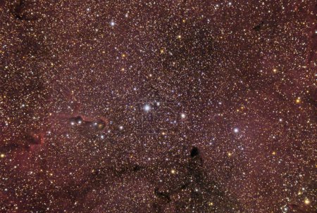 Téléchargez les photos : IC 1396 et la nébuleuse du tronc des éléphants, région gazeuse ionisée située dans la constellation Cepheus. Carte des étoiles du ciel nocturne et fond - en image libre de droit
