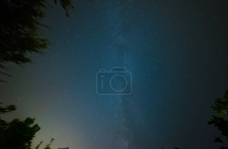 Foto de Cielo nocturno estrellado, la Vía Láctea. Cielo nocturno con estrellas como fondo, Olivos y Naranjos en Toscana - Imagen libre de derechos