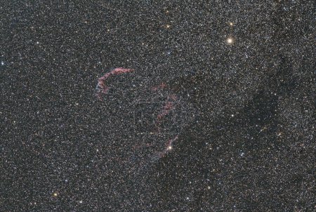 La boucle Cygnus, nébuleuse du voile (NGC 6960, NGC 6992, NGC 6995 et IC 1340) reste d'une supernova. Carte des étoiles, constellation Cygnus