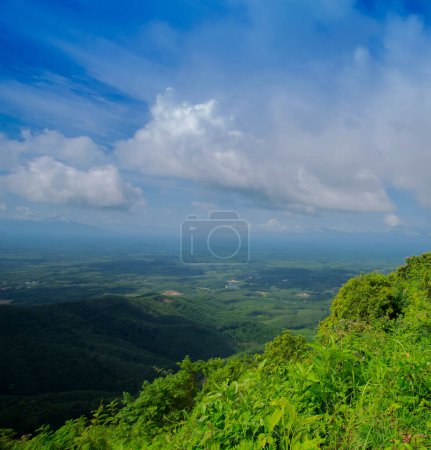 Téléchargez les photos : Forêt turquoise sur la montagne vacances d'été couleurs saturées - en image libre de droit