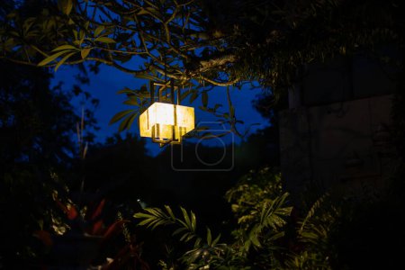 Photo for Yellow light lantern hanging on the tree at night. - Royalty Free Image