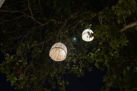 Photo for Yellow light lantern hanging on the tree at night. - Royalty Free Image