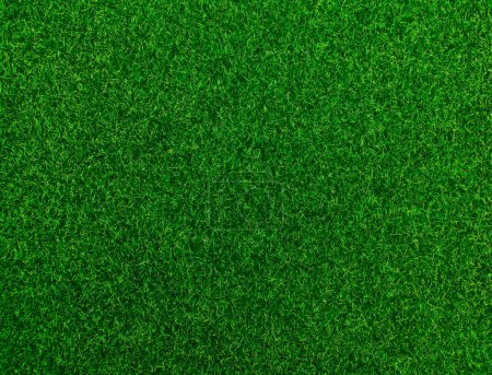 Photo for Green grass. Synthetic grass. Fresh green grass in spring. - Royalty Free Image