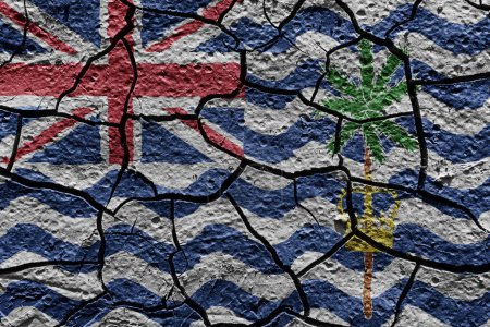 Téléchargez les photos : British Indian Ocean Territory flag on a mud texture of dry crack on the ground - en image libre de droit