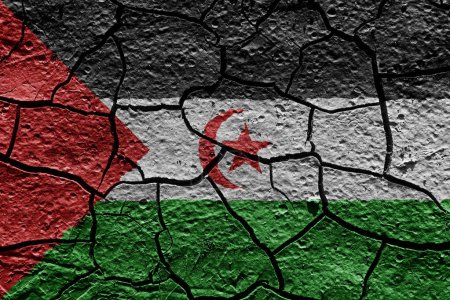 Photo for Sahrawi Arab Democratic Republic  flag on a mud texture of dry crack on the ground - Royalty Free Image