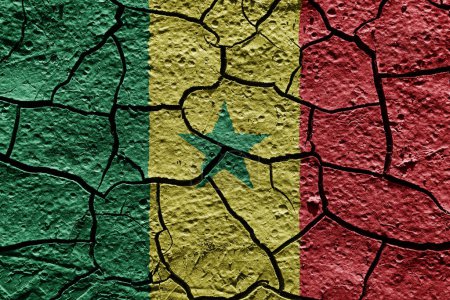 Téléchargez les photos : Senegal flag on a mud texture of dry crack on the ground - en image libre de droit