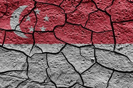 Photo for Singapore flag on a mud texture of dry crack on the ground - Royalty Free Image