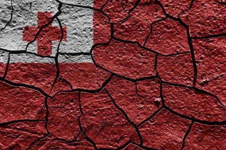 Téléchargez les photos : Tonga flag on a mud texture of dry crack on the ground - en image libre de droit