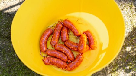 Photo for Freshly made sausages in a plastic tub prepared to hang in a cool place and with a little smoke - Royalty Free Image