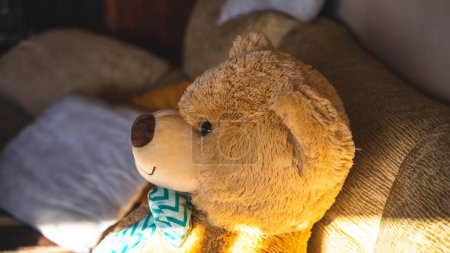 Photo for Teddy bear sitting on a sofa next to a window through which sunlight enters - Royalty Free Image