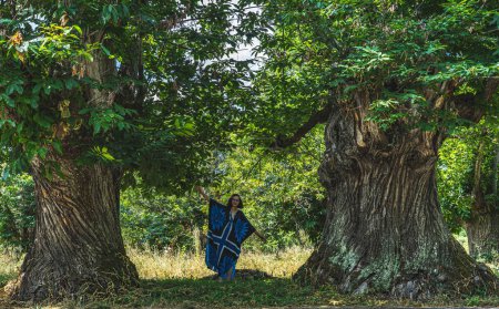 Photo for Woman between two centenary trees that stretches her arms to compare with their large trunks - Royalty Free Image