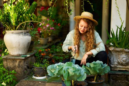 Foto de Joven jardinero femenino caucásico plantando verduras sonriendo felizmente. Joven mujer alegre con paleta sentada en su jardín cuidando repollos verdes en maceta. Concepto de agricultura y jardinería. - Imagen libre de derechos