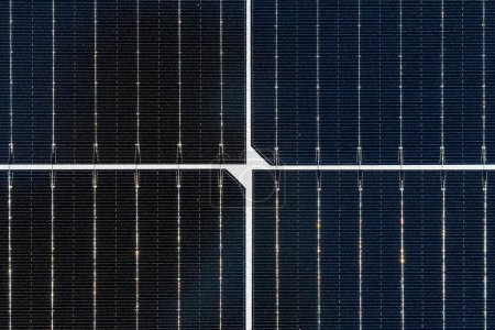 Foto de Detalle fotográfico de vista superior macro primer plano de paneles solares con rejilla visible de límites de celdas - Imagen libre de derechos