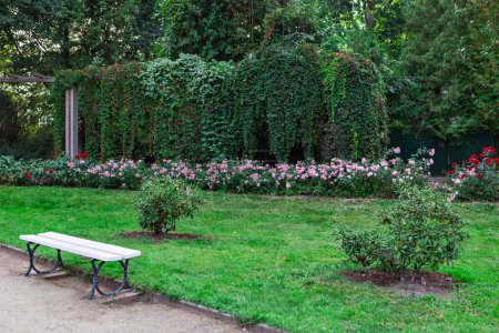 Eine Holzbank umgeben von einer bunten Blumenpracht in einer ruhigen Parklandschaft, die den Besuchern eine friedliche Flucht bietet, um sich zu entspannen und die ruhige Schönheit des Gartens zu genießen.