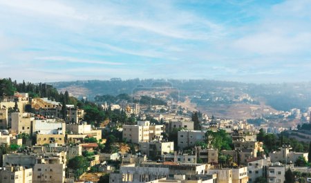 Une vue imprenable sur Jérusalem, Israël, mettant en valeur la beauté architecturale des villes dans un contexte de collines majestueuses et de verdure luxuriante. Découvrez l'ambiance paisible de cette ville historique.