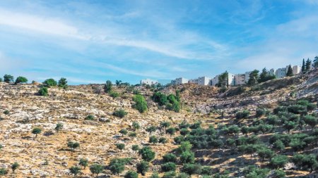 This serene image showcases a tranquil village in the hills of Israel. The rocky terrain, lush greenery, and charming houses under a clear blue sky create a picturesque scene.