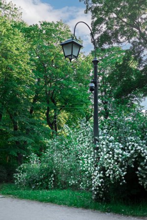 A vintage cast iron street lamp post with a black finish in a park. The lampshade is white and curved. Surrounding greenery adds to the retro feel. Ideal for travel brochures and websites.