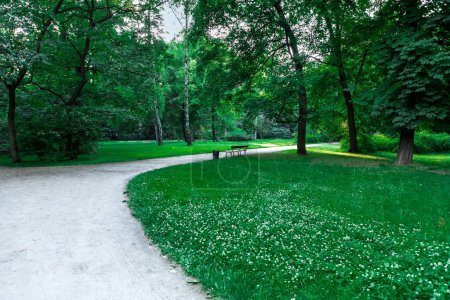 Un parc serein avec un sentier pédestre sinueux entouré de beaux arbres, une pelouse bien entretenue avec des bancs accueillants, idéal pour se promener tranquillement et pique-niquer dans un cadre paisible.