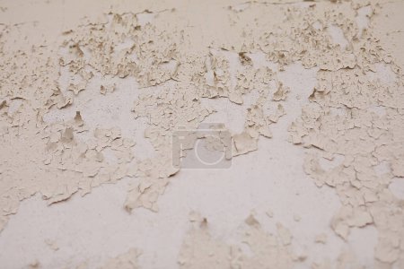 Close-up of a weathered white painted wall with peeling and cracking paint, revealing layers beneath, shallow depth of field. Rough, uneven surface with some intact paint. Age and neglect evident