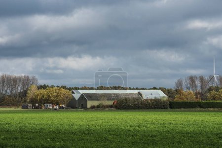 Foto de Farm with barns and wind turbine under dark clouds in the polder of the island Goeree Overflakkee in winter - Imagen libre de derechos