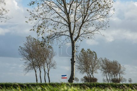 farmers protest with inverted flag between poplars on a windy day on the island of Goeree Overflakkee