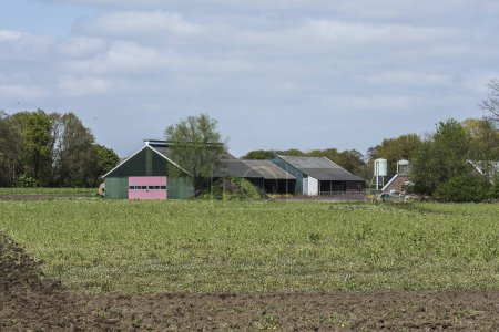 Bauernhof mit Scheunen und Futtersilo und Heuballen im Sommer