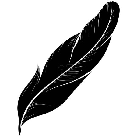 Feather bird silhouette. Black vector hand drawn illustration isolated on white. Simple flat style. Plumelet icon