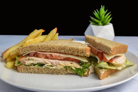 Téléchargez les photos : Service de sandwich au poulet avec un côté de frites - en image libre de droit