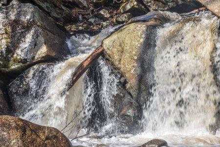 el agua que fluye sobre la trampa cae en el parque estatal Willard Brook en Ashby Massachusetts