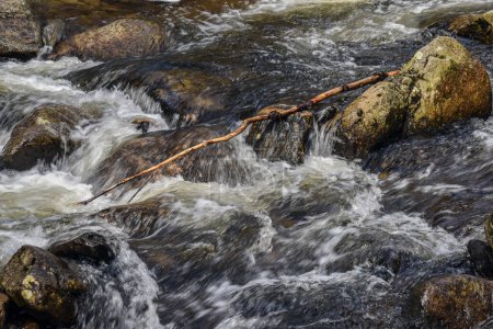 water cascading over rocks in trap falls brook  in willard brook state forest