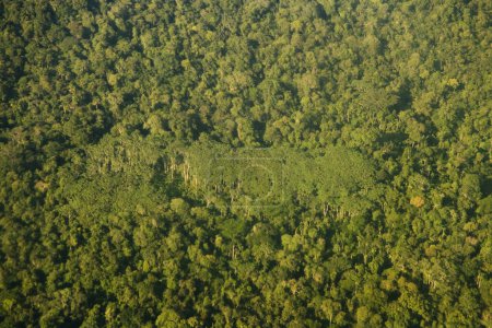 Aerial photograph of the rainforest landscape of the Upper Amazon, near Quito, Ecuador, South America