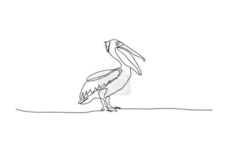 Ilustración de Pájaro pelícano, dibujo de línea negra, contorno de una línea en blanco - Imagen libre de derechos