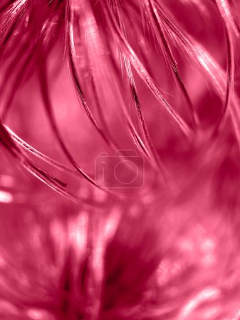 Photo for Trendy color 2023 viva magenta red toned of abstract natural background or wallpaper. - Royalty Free Image