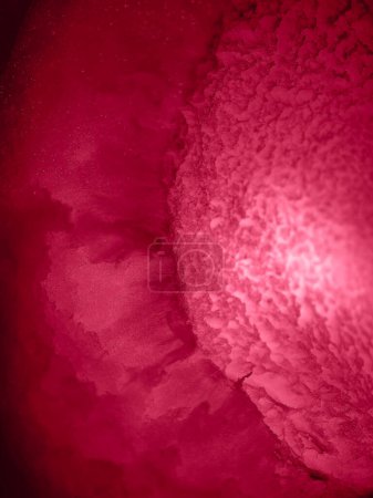 Photo for Trendy color 2023 viva magenta red toned of abstractl background or wallpaper. - Royalty Free Image